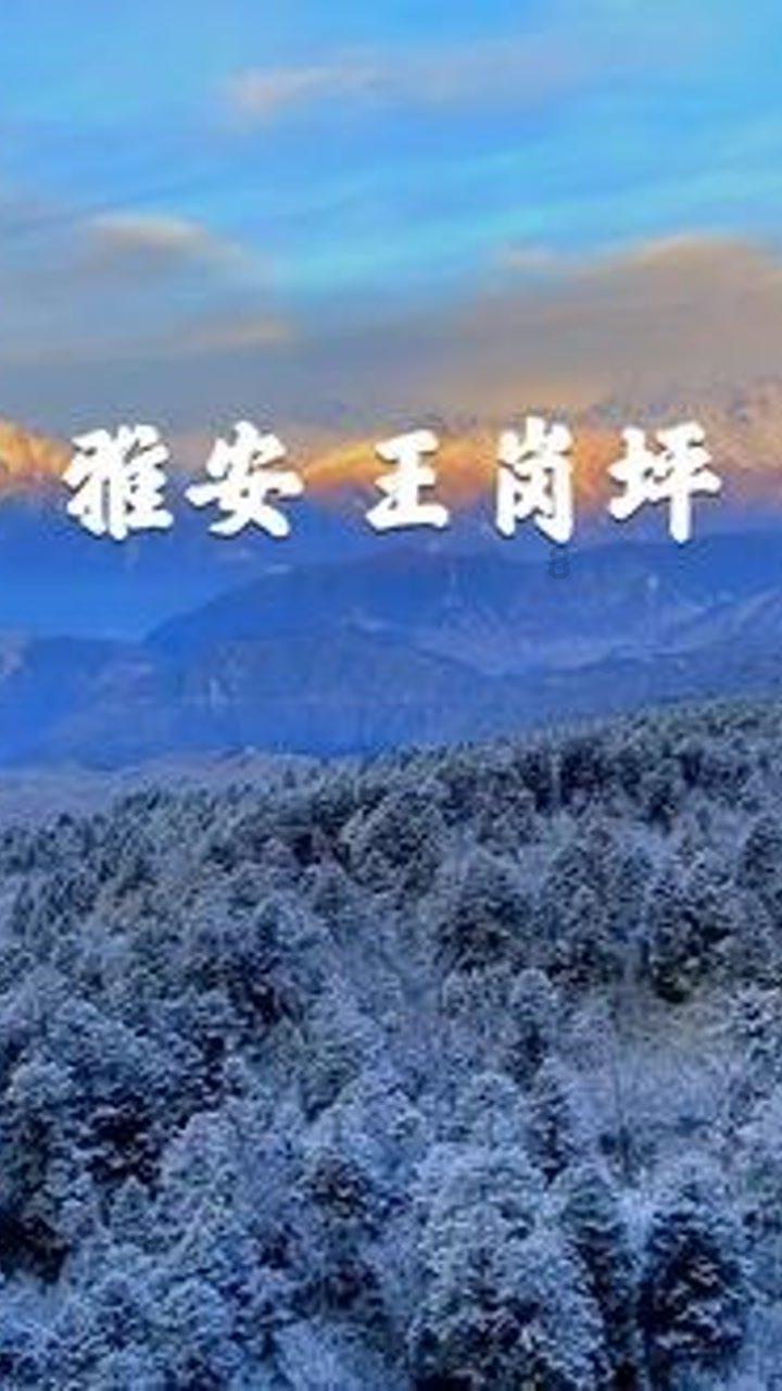 符石守护者